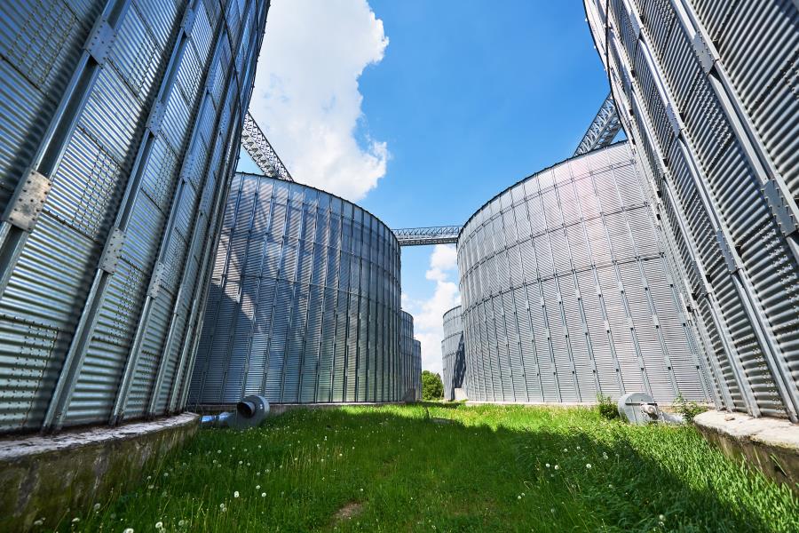 São Paulo firma acordo com governo sueco para pesquisas que ampliem a oferta e a infraestrutura de biometano no Estado 