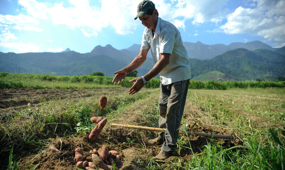 Dia da Terra: saiba como a agricultura regenerativa beneficia o planeta 