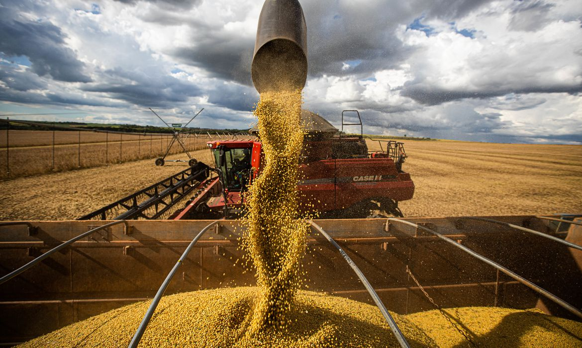 Produção agrícola deve atingir 269,3 milhões de toneladas