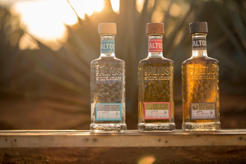 Conheça os principais tipos de tequila: blanco, añejo e reposado