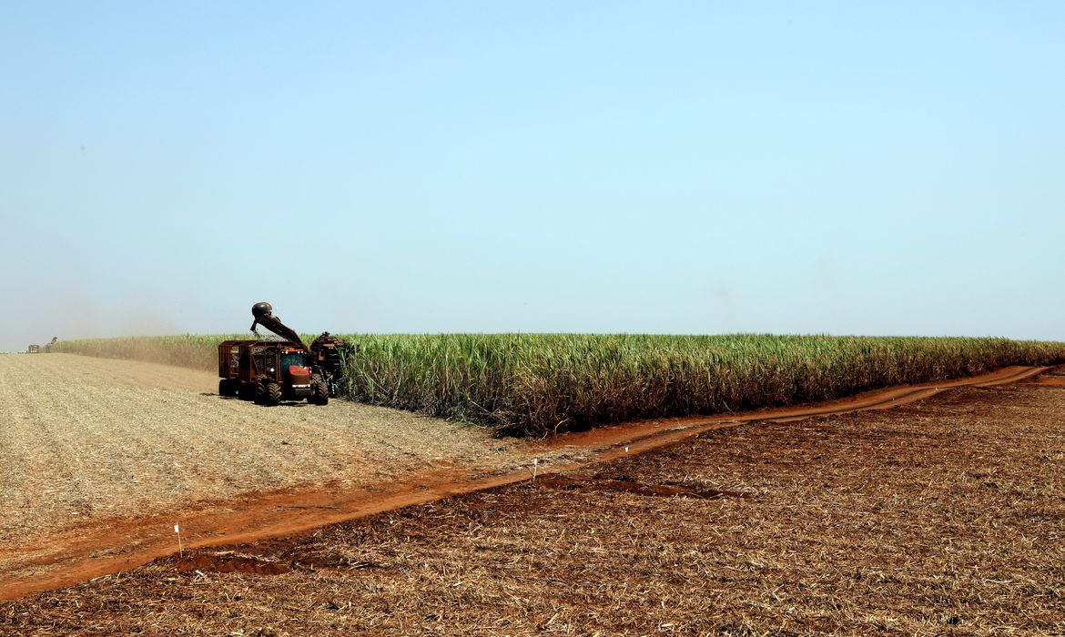 Empresas do agronegócio estão sujeitas a riscos de integridade, diz estudo da EY