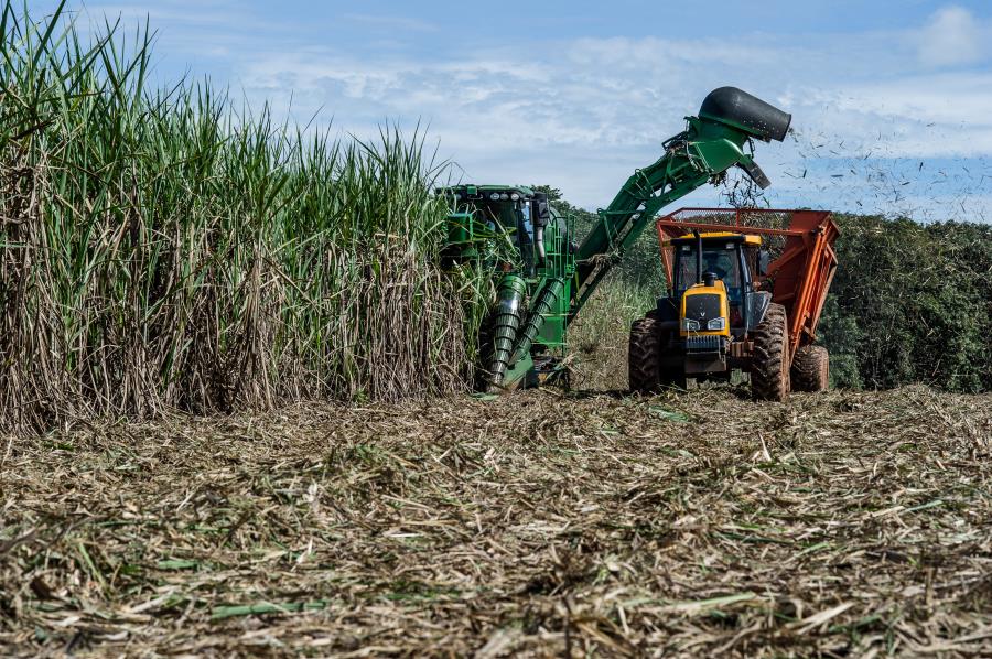 Bioeconomia ajudará Brasil a reduzir dependência externa e a aumentar a conservação