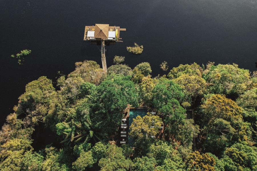 Imersão na Amazônia: experiências diárias na floresta sem abrir mão do conforto