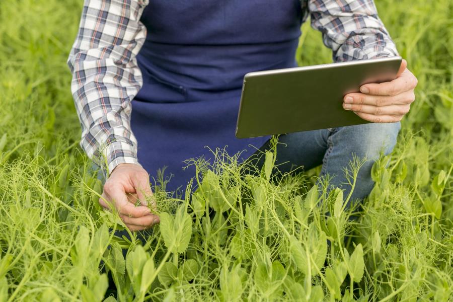 Pesquisa aponta as prioridades de investimento tecnológico de diferentes segmentos do Agro