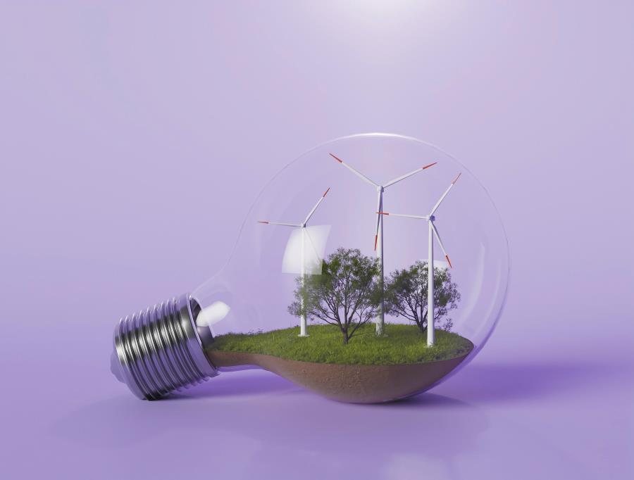 Baratas: a aposta da ciência para a transição energética