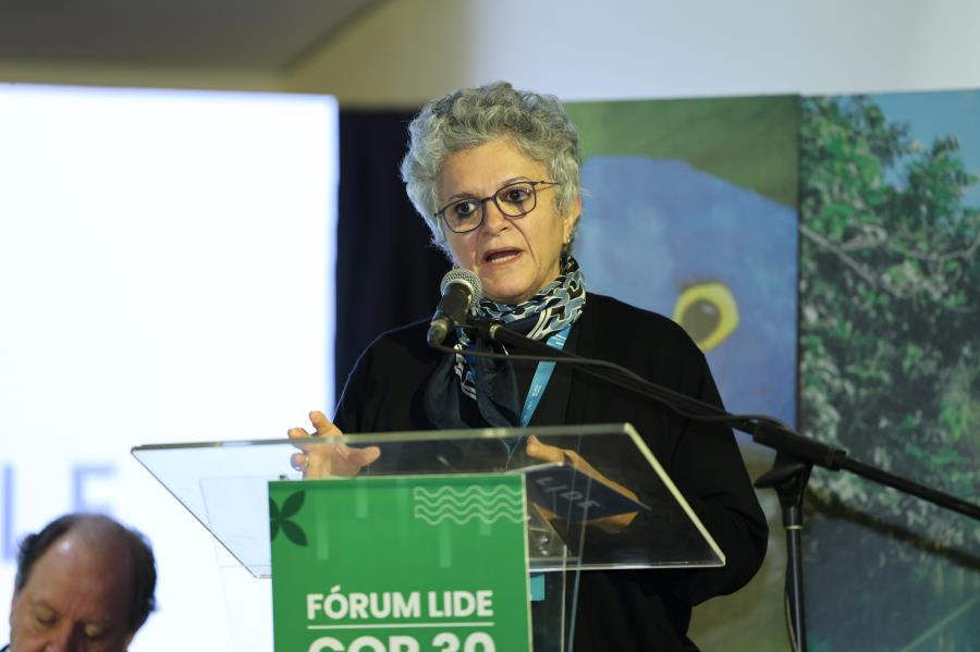 'O Brasil precisa sair da defensiva e assumir seu lugar como provedor de soluções climáticas', afirma Izabella Teixiera