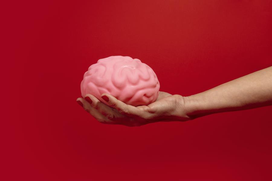 Com IA, cientistas conseguem 'prever' envelhecimento cerebral