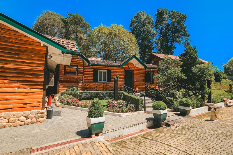 Carnaval nas Montanhas: O refúgio perfeito para famílias em Campos do Jordão