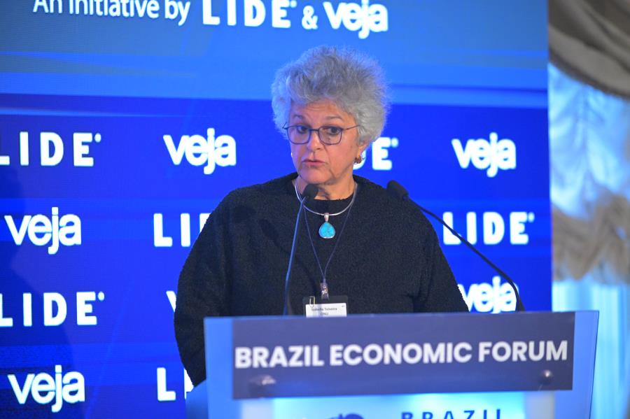 'Não terceirizem o Brasil', diz Izabella Teixeira no Brazil Economic Forum