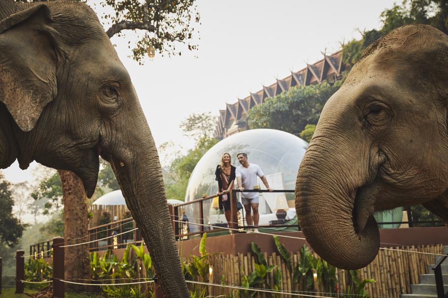 Da Tailândia para o mundo: Anantara Hotels & Resorts celebra 25 anos com expansão global e estreia no Brasil