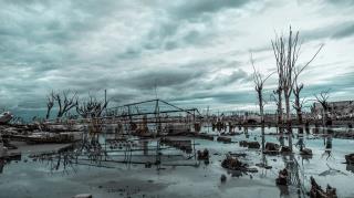 landscape-building-ruins-bare-trees-water-cloudy-sky-gloomy-day
