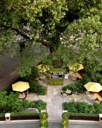 The Dorchester_The Dorchester Garden_Dorchester Collection  _1_