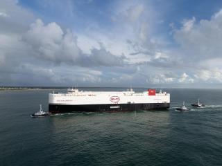 BYD navio