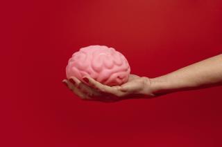 still-life-with-human-brain
