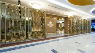 Emirates area vip
