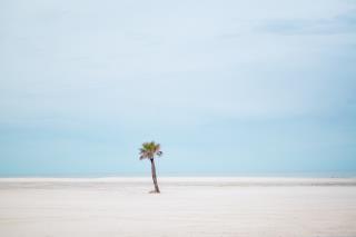 GulfCoastMS_Beach-6531